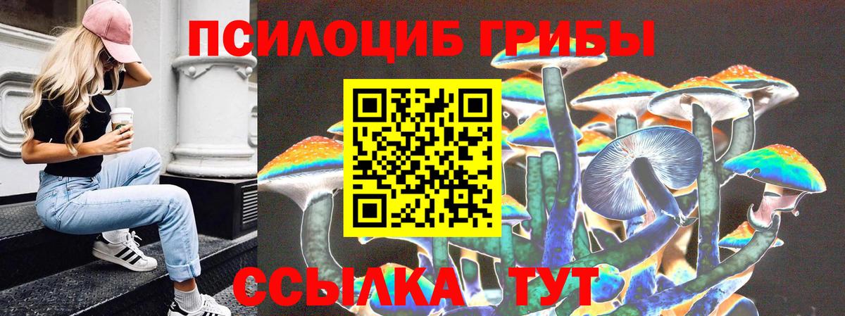Белогорск  Галлюциногенные грибы Psilocybine cubensis  где продают   Вход с VPN  Псилоцибиновые грибы Magic Shrooms 